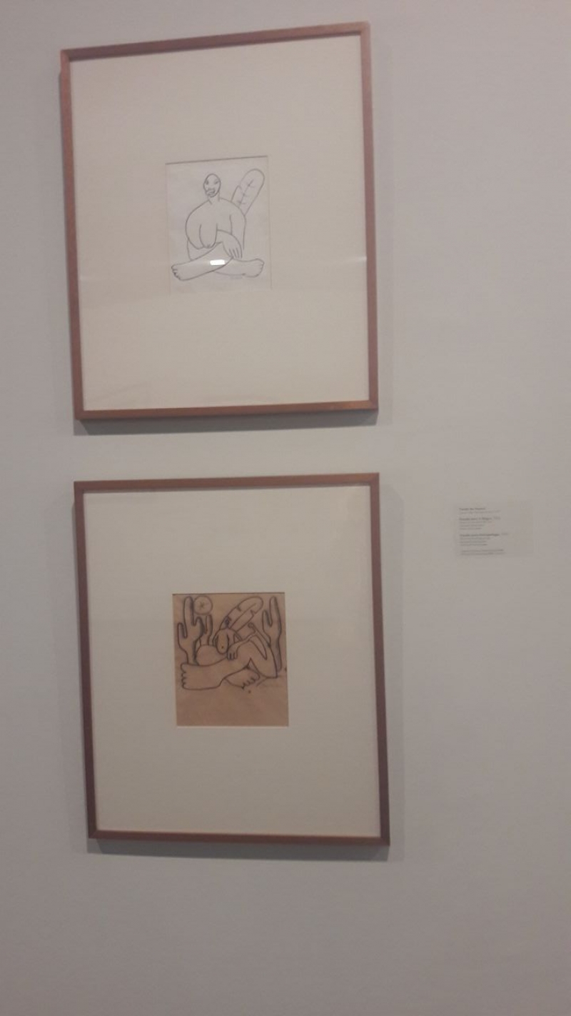 Quadros da Tarsila do Amaral no MAM ( Museu de Arte Moderna do Rio de Janeiro)