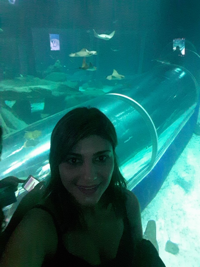 Eu e o tubo apaixonante do AquaRio