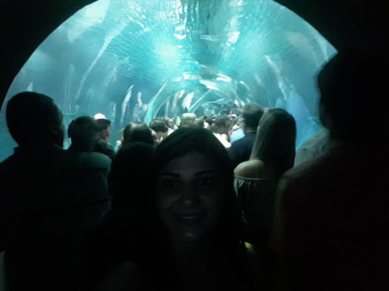 Túnel do AquaRio
